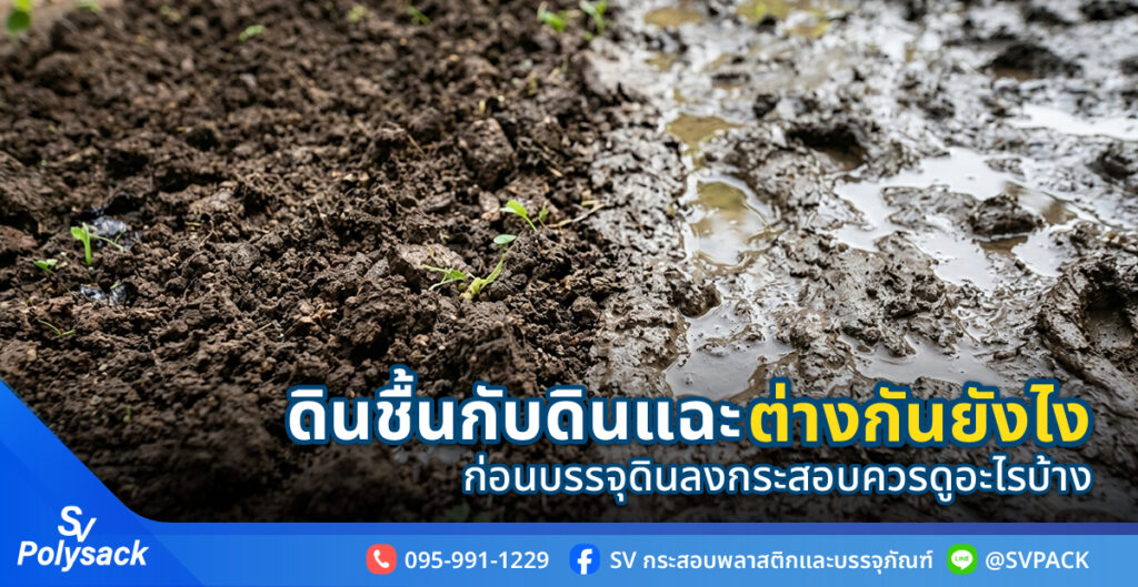 ดินชื้น