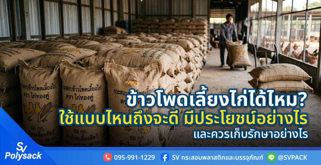 ข้าวโพดเลี้ยงไก่