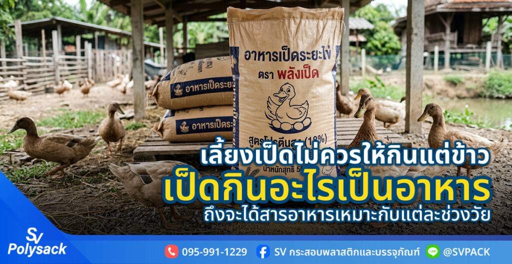 เป็ดกินอะไรเป็นอาหาร